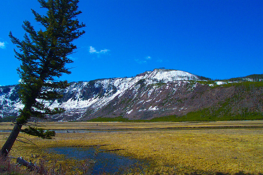 Yellowstone National Park Photograph by Kenneth Cole