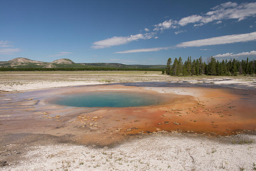Yellowstone National Parks Mineral Ponds Photograph by Gail Shotlander