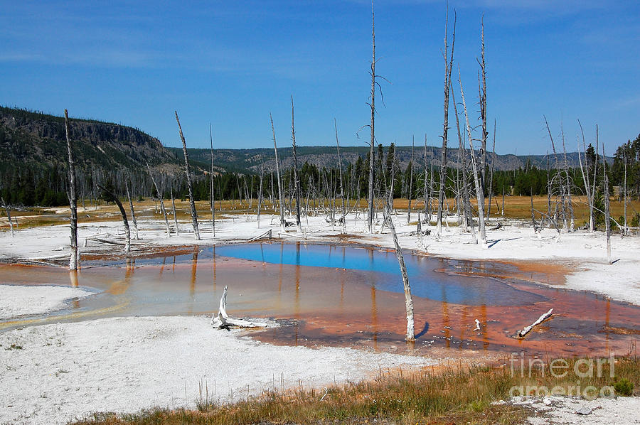 Yellowstone Opalescent Pool Photograph by Debra Thompson