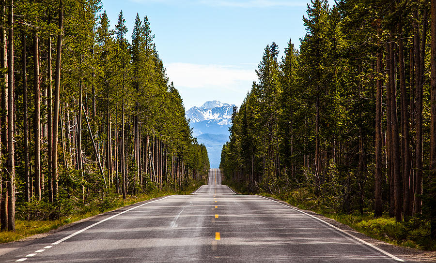 Yellowstone Open Road Photograph by Adam Pender