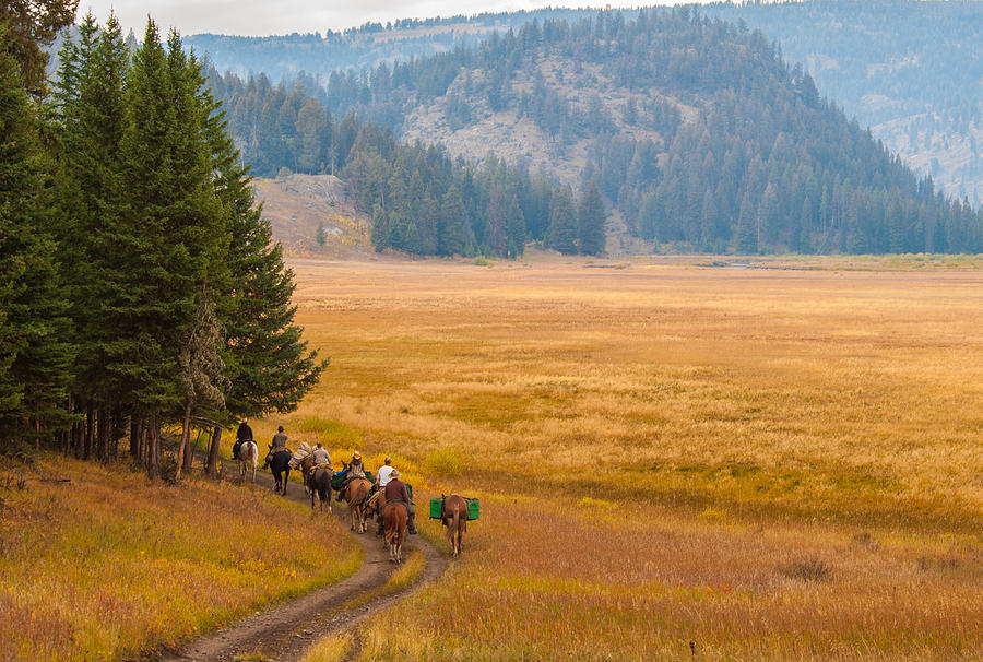 Yellowstone Pack Trips Photograph by Brenda Jacobs