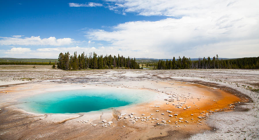 Yellowstone Prismatic Spring Photograph by Adam Pender