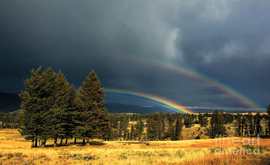 Yellowstone Rainbow Photograph by Clare VanderVeen