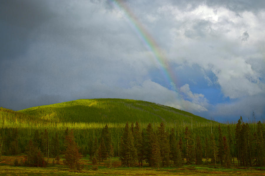 Yellowstone Rainbow Photograph by Jack R Perry