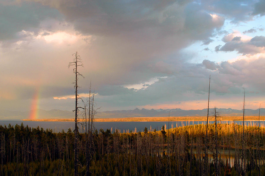 Yellowstone Rainbow Photograph by Yue Wang