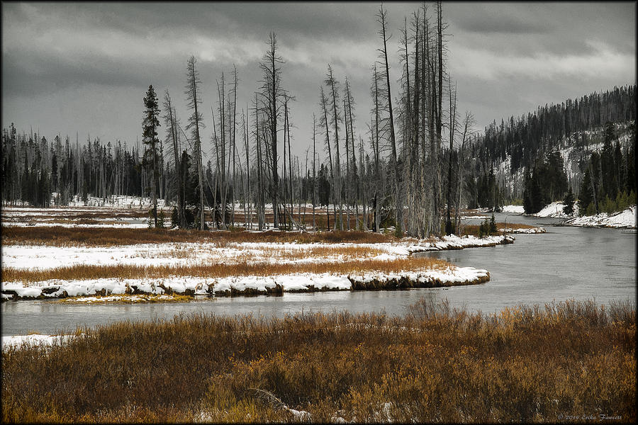 Yellowstone River Photograph by Erika Fawcett