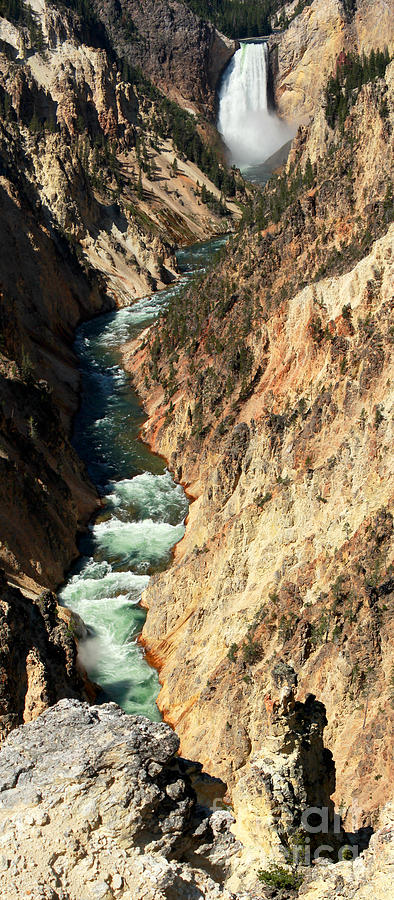 Yellowstone River from Artists Point Photograph by Adam Long