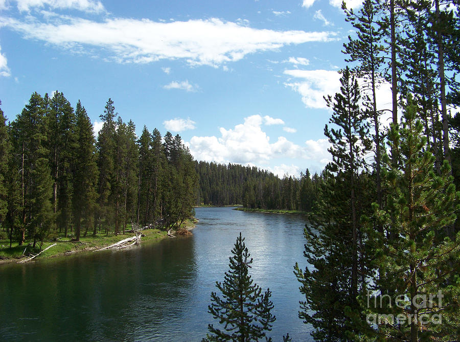 Yellowstone River in Yellowstone National Park Photograph by Charles Robinson