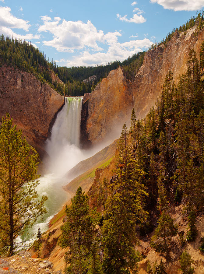 Yellowstone River - Lower Falls Photograph by Phil Stone