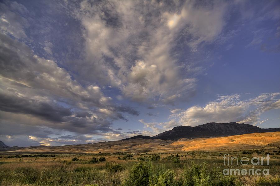 Yellowstone scenic Photograph by Tom Cheatham - Fine Art America