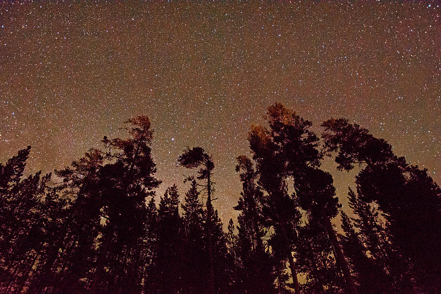 Yellowstone Stars Photograph by Elijah Weber - Pixels