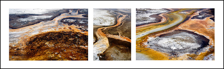 Yellowstone Triptych Photograph by Geraldine Alexander