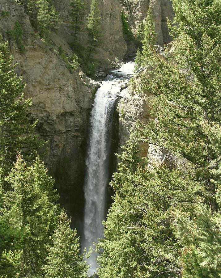 Yellowstone Waterfall Photograph by Dody Rogers