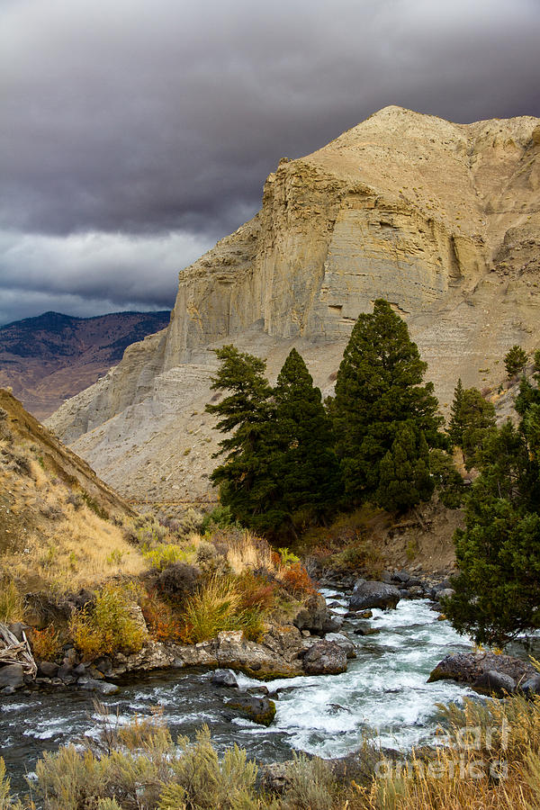 Yellowstones beauty Photograph by Lori Dobbs