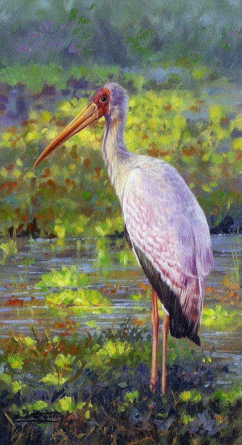 Yelow-Billed Stork Painting by David Stribbling