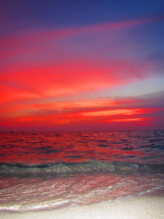 Sunset Photograph - Yep by Capt  Pat  Moran
