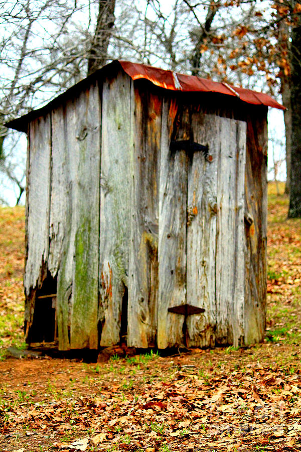 Yer Old Outhouse Photograph by Kathy  White