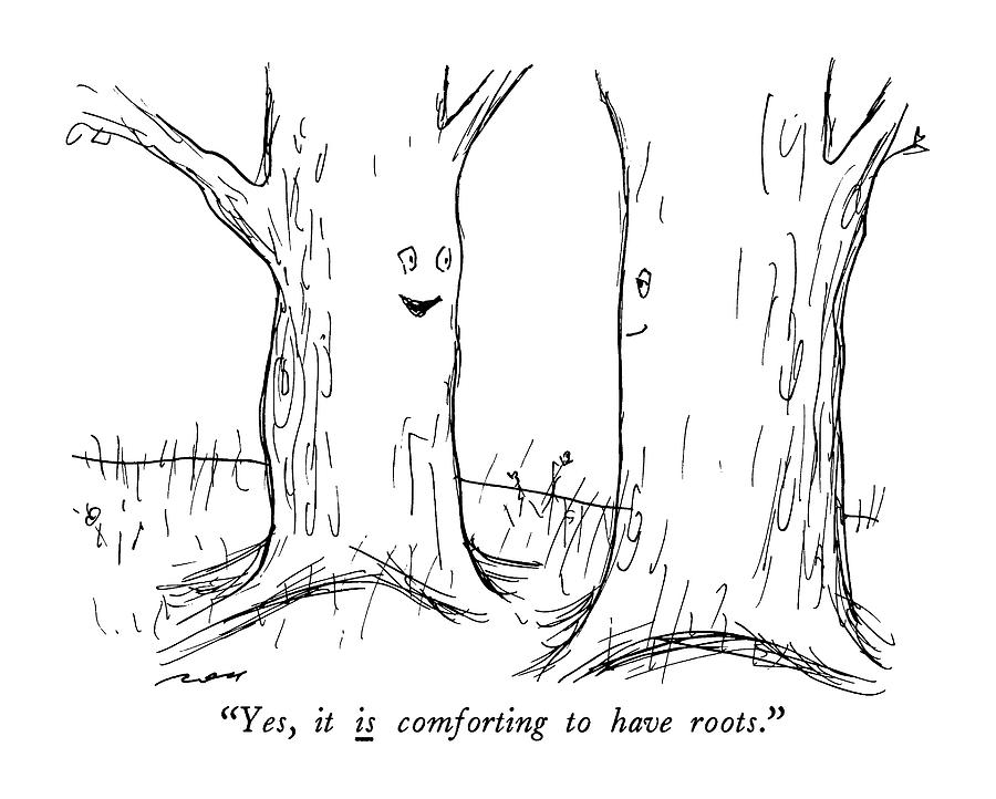 Yes, It Is Comforting To Have Roots Drawing by Al Ross
