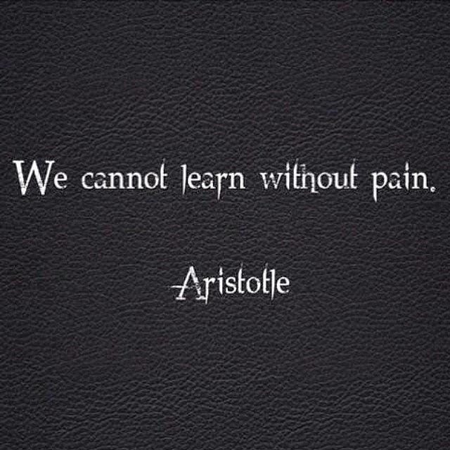 Lessons Photograph - Yes.. #wisewords #aristotle #pain #life by Amber Baby