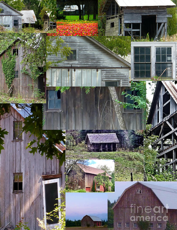 Yesterday Barns Collage Photograph by Susan Garren