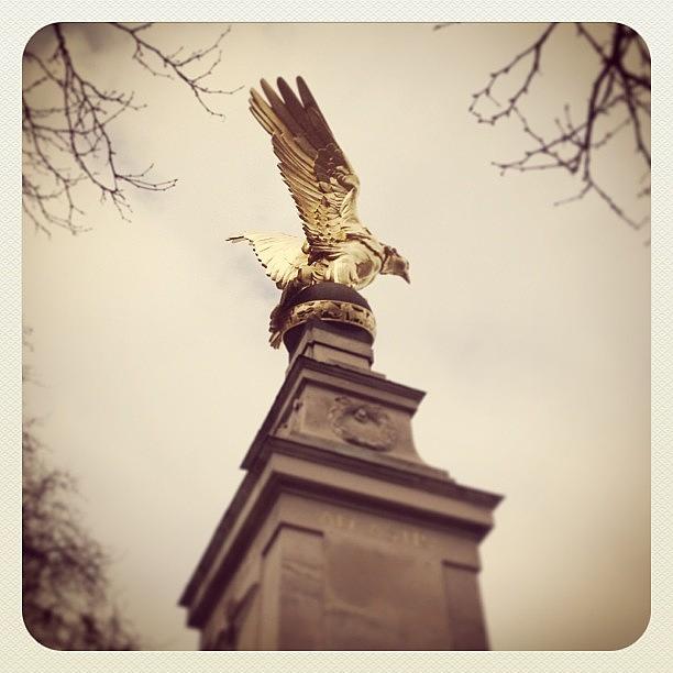 Eagle Photograph - Yesterday It Was London. On The Way by Simeon Rajaonson