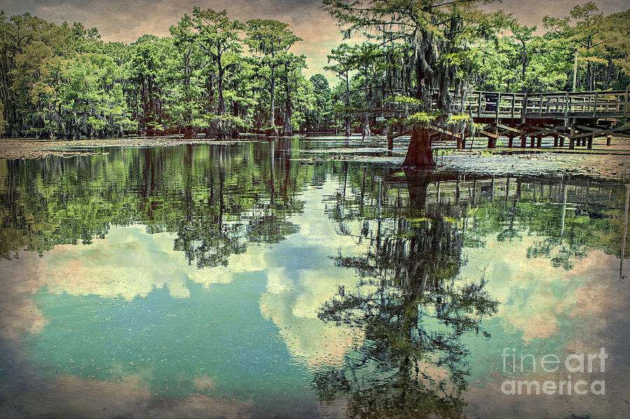 Yesteryear at Caddo Lake Photograph by Tamyra Ayles