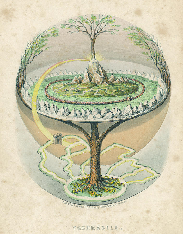 Yggdrasil (yggdrasill), The Sacred Ash Drawing by Mary Evans Picture