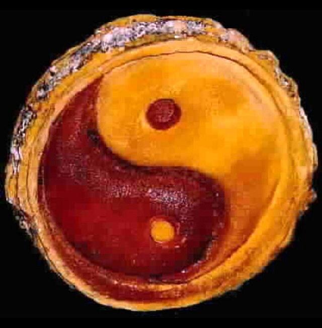 yin and yang symbol in stone