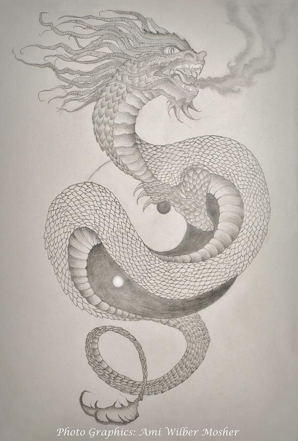 Ying Yang Dragon Drawing by Ami Mosher - Fine Art America