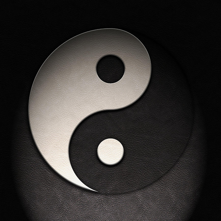 Yin Yang Symbol Leather Texture Digital Art by Brian Carson