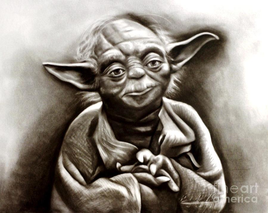Yoda  Drawing by Barbara  Rivera
