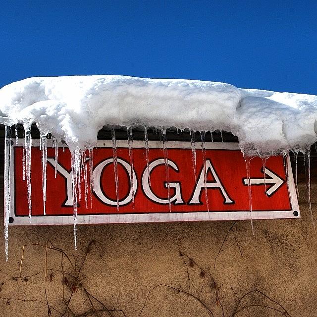 Winter Photograph - Yoga by Gia Marie Houck