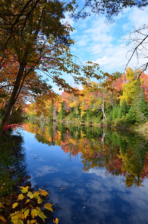 York River Bancroft Ontario Photograph by Brenda Stone