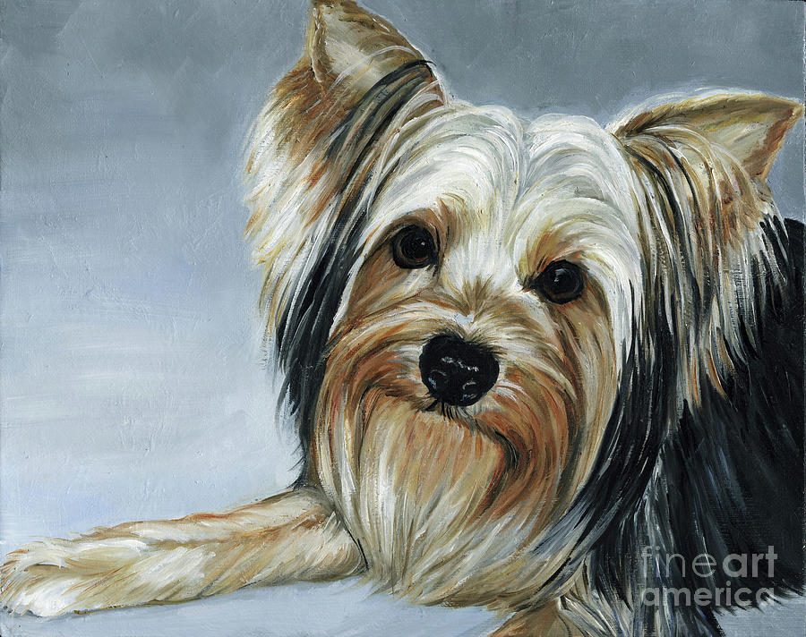 Yorkie Painting by Charlotte Yealey