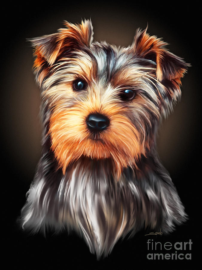 Yorkie Portrait by Spano Painting by Michael Spano