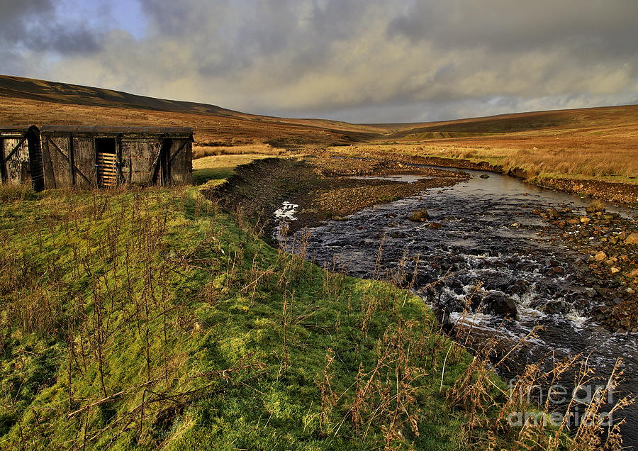 Durham Dales Stream Photograph by Martyn Arnold