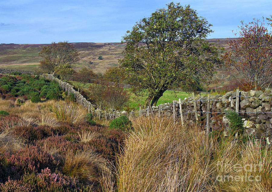 Yorkshire Moors England Photograph by Martyn Arnold