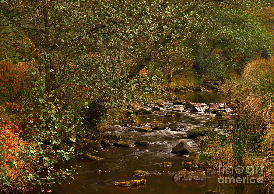 Yorkshire Moors Stream in Autumn Photograph by Martyn Arnold