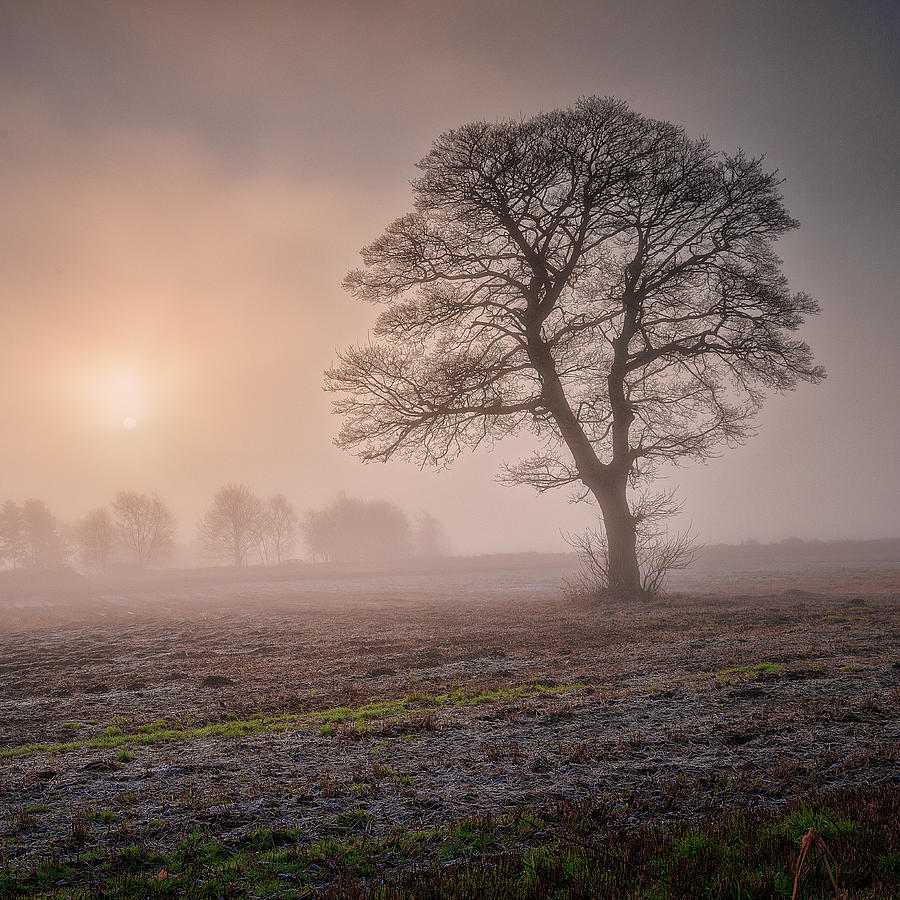 Yorkshire Sunrise Photograph by Vividvista (philip Hunter)
