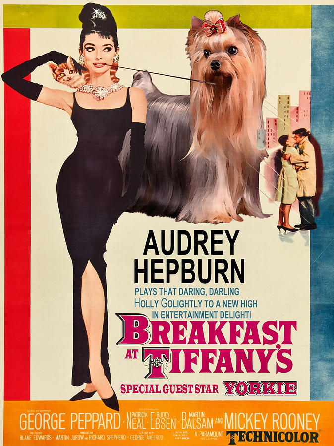 Yorkshire Terrier Art Canvas Print - Breakfast at Tiffany Movie Poster Painting by Sandra Sij