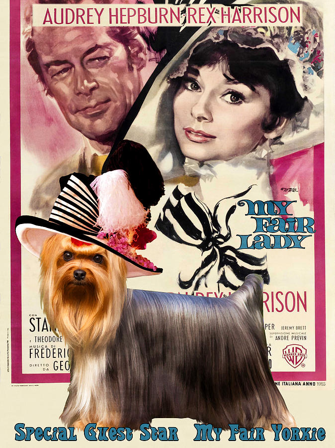 Yorkshire Terrier Art Canvas Print - My Fair Lady Movie Poster Painting by Sandra Sij