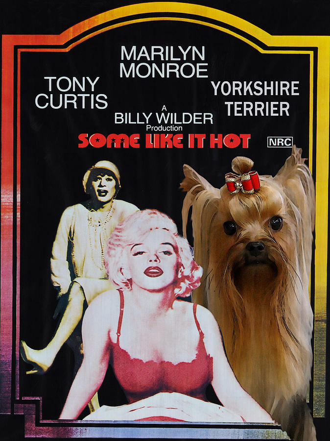 Yorkshire Terrier Art Canvas Print - Some Like It Hot Movie Poster Painting by Sandra Sij