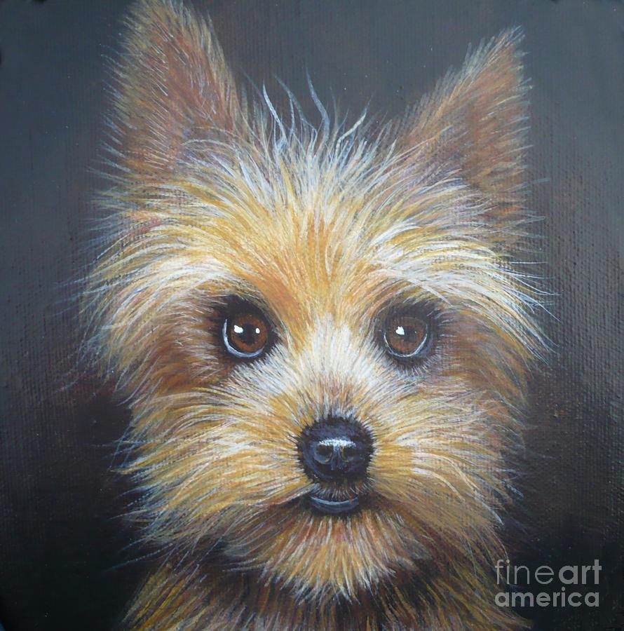 Yorkshire Terrier by Monika Painting by Monika Shepherdson