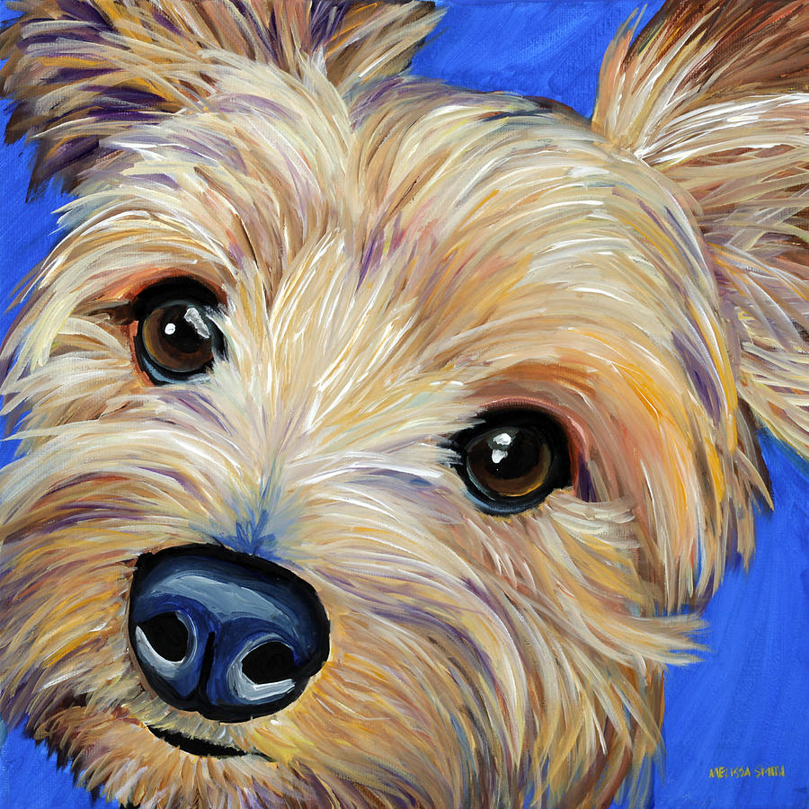 Yorkshire Terrier Painting - Yorkshire Terrier by Melissa Smith