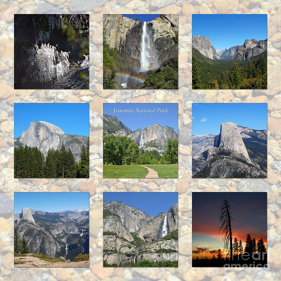 Yosemite 3x3 Collage Photograph by Debra Thompson