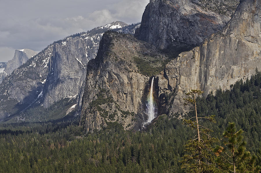 Yosemite 6 Photograph by SC Heffner