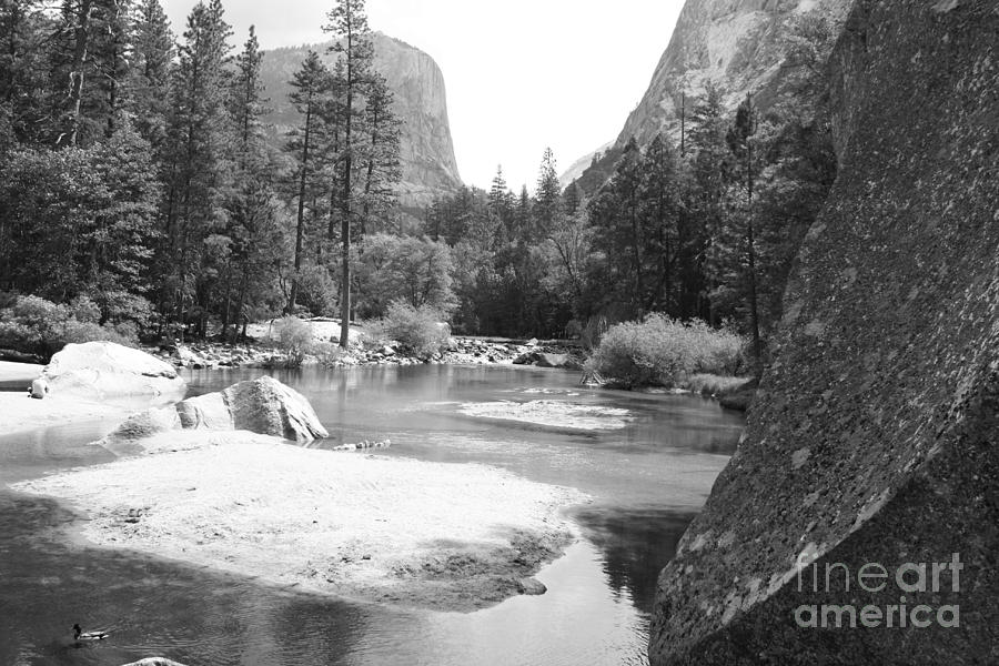 Yosemite B/W Photograph By Richard Mortimer - Fine Art America