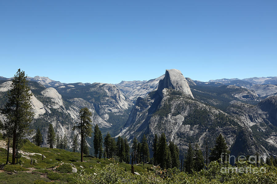 Yosemite Photograph by Betty Morgan