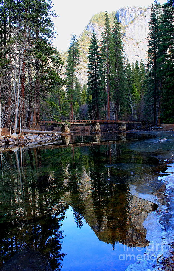 Yosemite Bridge Reflection 2 Photograph by Theresa Ramos-DuVon