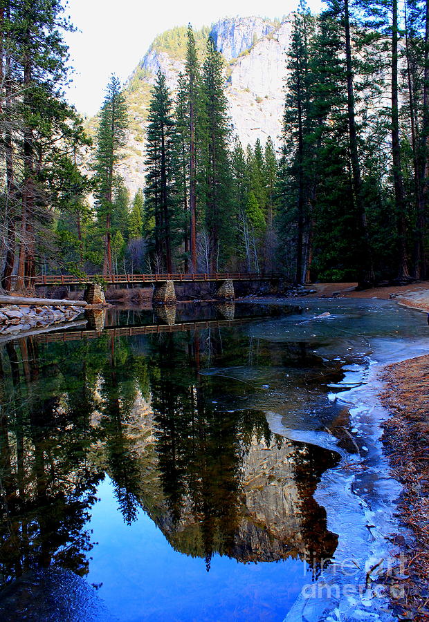 Yosemite Bridge Reflections Photograph by Theresa Ramos-DuVon